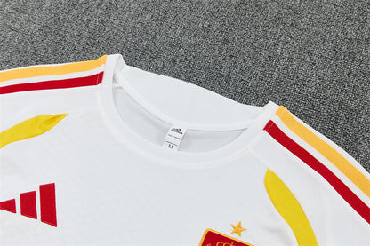 2627 Spain short sleeve Training Kit 4