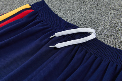 2627 Spain short sleeve Training Kit 2