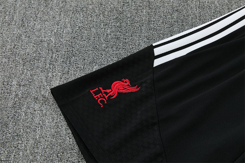 2627 Liverpool short sleeve Training Kit 2