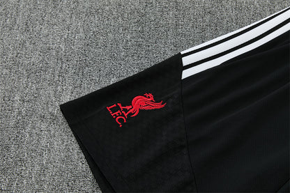 2627 Liverpool short sleeve Training Kit 2