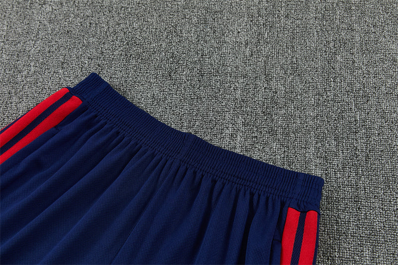 2627  Bayern short sleeve Training Kit 1