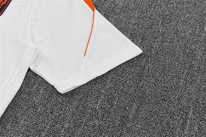 2627 Netherlands short sleeve Training Kit