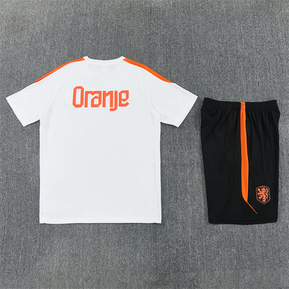 2627 Netherlands short sleeve Training Kit