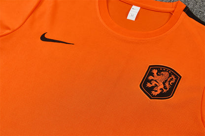 2627 Netherlands short sleeve Training Kit 2