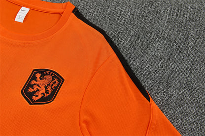2627 Netherlands short sleeve Training Kit 2