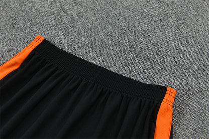 2627 Netherlands short sleeve Training Kit 2