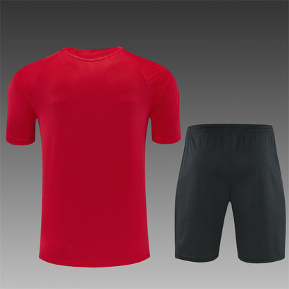 2627   AC Milan short sleeve Training Kit