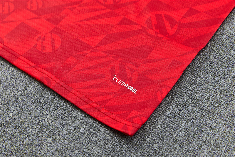 2627 Liverpool short sleeve Training Kit