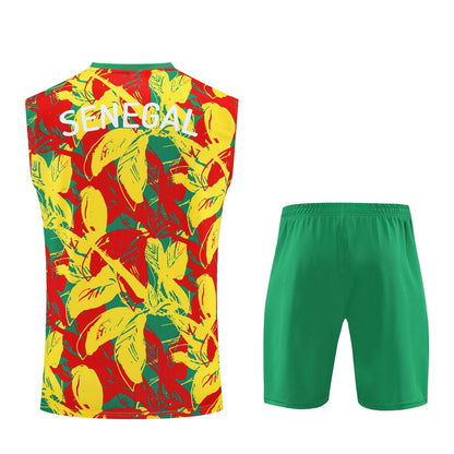 Senegal Sleeveless Training Kit