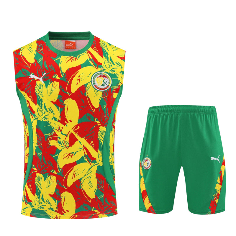 Senegal Sleeveless Training Kit
