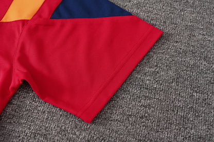 2627 Spain short sleeve Training Kit